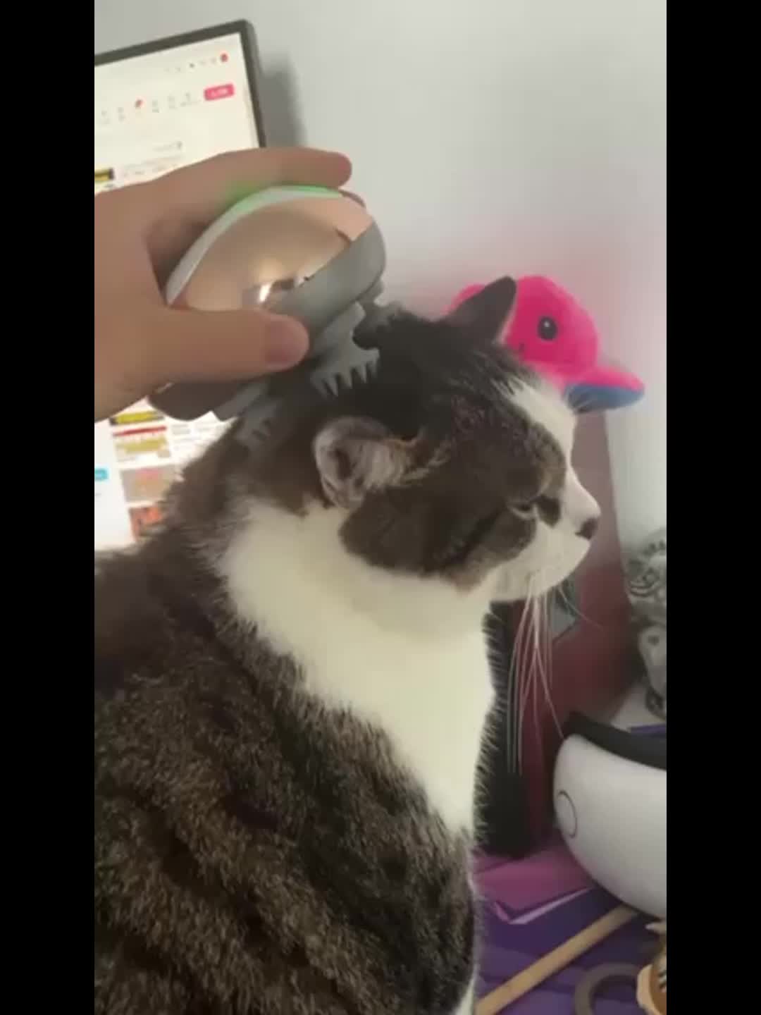 4 Silicone Massage Heads Pet Head Massager: Imitate Human Fingers For Cats & Dogs!