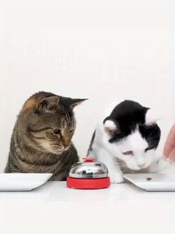 1pc Interactive Pet Bell Toy, Plastic Material, No Battery Required, for Cat and Dog Training & Communication, Summons for Food, Play & Exercise