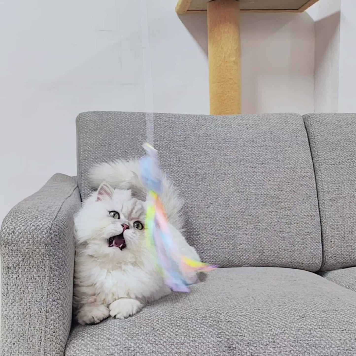 [Plush Bee Cat Teaser] Exquisite Plush Bee Shaped Cat Teaser | New with Fresh Plastic Pole and Color Matching Tassel