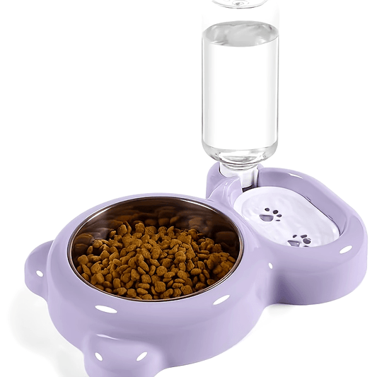 This Double Bowl Set & Automatic Water Dispenser Bottle for Keeping Your Pet Hydrated & Fed