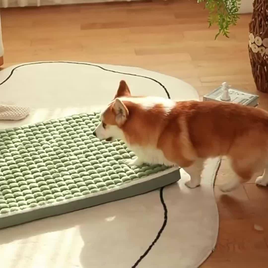 Comfortable Thickened Cat Bed, Dog Bed, Cat Sleeping Pad, Cat Step Milk Pad, Detachable And Washable Cat Sofa for Extra Dog Cat to Extra Large Dog Cat